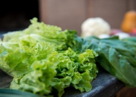 "En Argentina se pierden y desperdician 16 millones de toneladas de alimentos"