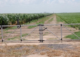 Puntos claves para acordar un buen contrato de arrendamiento rural