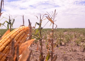 Córdoba: más de 1.800 productores recibieron aportes por apostar a la sustentabilidad