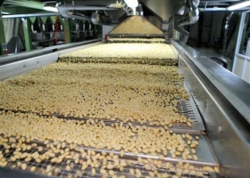 Una empresa de maní de EE.UU. invirtió US$11 millones en el país para exportar más.