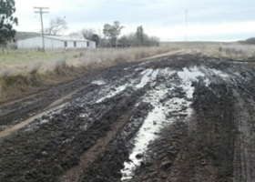 Denuncian que es crítico el estado de los caminos rurales bonaerenses.