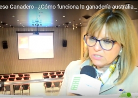 ¿Cómo funciona la ganadería australiana?