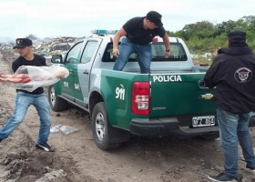 Santa Fe: la inseguridad se cobra 95 cabezas de ganado diarias