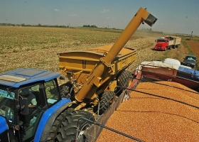 Cayó la participación del Estado en la renta agrícola: de cada $100, se lleva $55,80