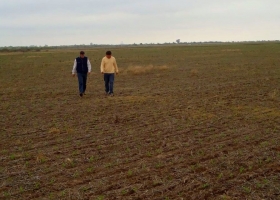 Los propietarios de campos en alquiler son los principales ganadores de la megadevaluación argentina