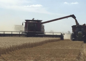 Nueva herramienta comercial: productores podrán cambiar forwards por contratos futuros del Matba