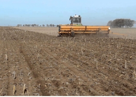 La siembra de cebada avanza con fluidez y se espera una leve expansión de área