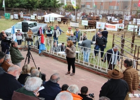 Histórico remate ganadero en la Rural de Santa Fe