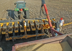Siete de cada diez productores agropecuarios prevén nuevas inversiones.