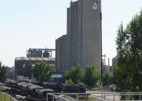 El trigo de alta calidad va camino a alcanzar el precio de la soja: logró un máximo de 7200 $/tonelada