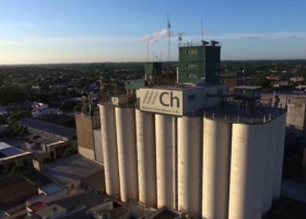 Un solo grupo controla el 40% de las exportaciones argentinas de harina de trigo