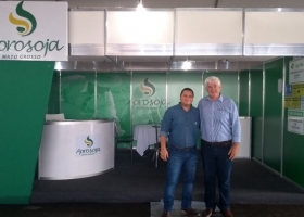 Brasil: la Justicia ordena a Monsanto devolver regalías hasta que se resuelva la solicitud de nulidad de la patente del evento Intacta
