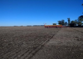 Durante la última semana se implantaron 700 mil hectareas de trigo