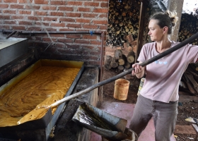 “Los cambios en el Monotributo Social Agropecuario responden a un ciclo cumplido”