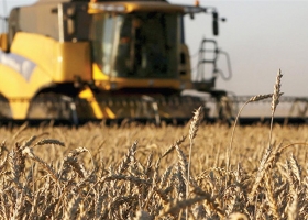 Cuáles son las expectativas para el USDA de julio