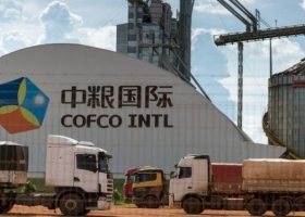 China no descarta comenzar a importar harina de soja argentina