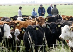 Efecto carne: se generan 10.000 empleos nuevos cada 100.000 toneladas exportadas.