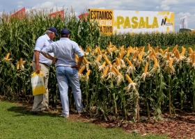 Sin retenciones es mejor: empleados de empresas semilleras son los trabajadores agroindustriales que mayores ganancias salariales registraron en los últimos tres años