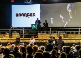Un toro de la raza Brangus se vendió en un precio récord de $2,45 millones en la Rural