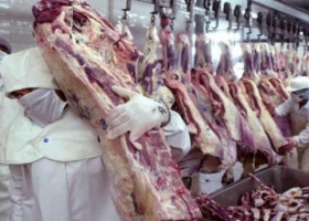 Exportaciones de carne: junio fue el mejor mes desde 2009