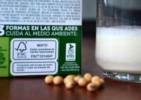 En lo que va del año 16 empresas agrícolas argentinas comercializaron 165.000 toneladas de soja certificada RTRS