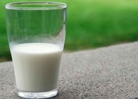 Afirman que el 44% del precio de la leche al público tiene impuestos y bajarlos ayudaría a la cadena.