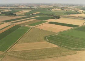 Destacan el valor de la mejora genética para la competitividad de la agricultura argentina 