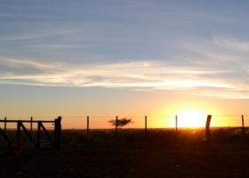 Se adelanta la primavera: ambiente muy confortable en el arranque de la semana