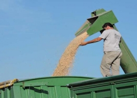 Retenciones móviles para todos: los cereales pasarán a tributar una alícuota del orden del 11%