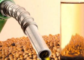 Biodiesel: caen la producción y exportación de Argentina, crece el mercado interno