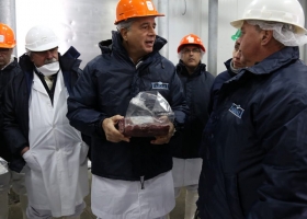 Certificaron 20 toneladas de carne de guanaco para exportar a Bélgica