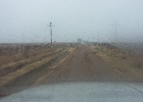 Fin de semana de lluvias para recomponer el estado del trigo y la cebada en muchas regiones productivas
