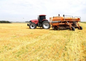 La combinación de trigo con soja de segunda sigue siendo la ganadora