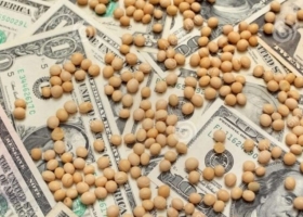 El campo generaría U$S 9.300 millones más que en la última cosecha con sequía