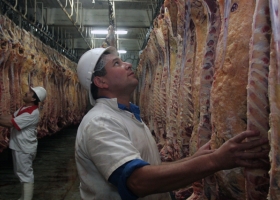 Avanzan con medidas para transparentar la cadena de la carne