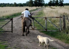 Hoy se celebra el Día del Trabajador Rural en Argentina
