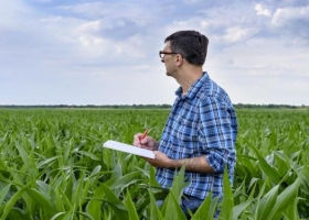Según un estudio, los jóvenes de la ciudad conocen poco y nada sobre el campo