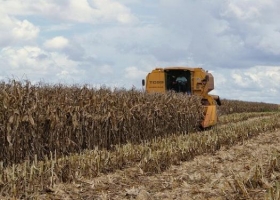 Revalúo y financiamiento: un puente para las empresas agro