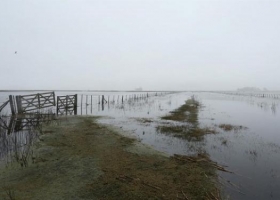 Recortan los fondos para la emergencia agropecuaria.