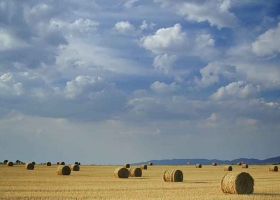 Clima: “El trigo ya lo está sufriendo; la soja y el maíz también serán afectados”