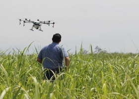 Productores se unen para reducir costos a través de imágenes satelitales
