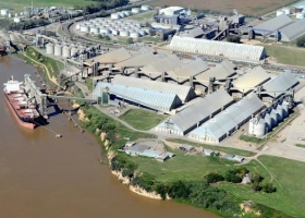 El sector agroexportador liquidó más de 18 millones de dólares en 2018