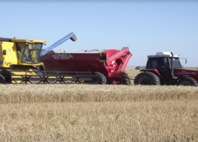 La transformación de los agronegocios: un cambio que alcanza a muchos eslabones
