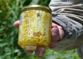 Miel orgánica envasada por las propias abejas, de Santa Fe al mundo
