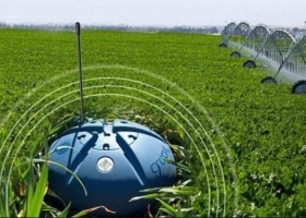 Un mar de datos en tiempo real: los sensores de la agricultura 4.0