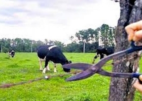 Inseguridad Rural: bonaerenses aseguran que es imposible plantear una actividad productiva