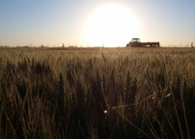 Semana ideal para las labores agrícolas: anticipan varios días sin precipitaciones