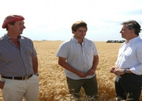 Etchevehere al recorrer un campo de Pehuajó: "Se está dando la revancha del trigo"