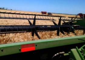 Destacan la buena calidad panadera del trigo en el norte de Buenos Aires