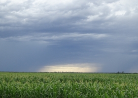 El clima durante el verano 2019: "El Niño no será el único factor a seguir de cerca"